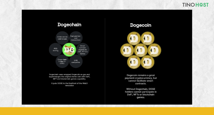 dogechain-la-nen-tang-blockchain-duoc-phat-trien-nham-ho-tro-hoat-dong-giao-dich-va-su-dung-dogecoin