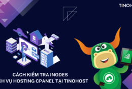 Hướng dẫn cách kiểm tra inodes dịch vụ Hosting cPanel tại TinoHost