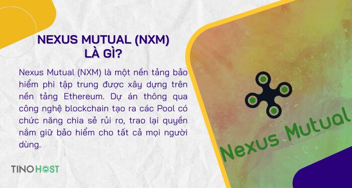 khai-niem-nexus-mutual-nxm