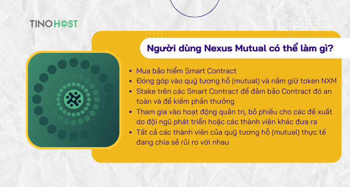 nguoi-dung-nexus-mutual-co-the-lam-gi