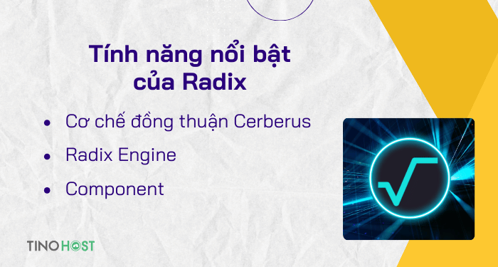 Radix (XRD) là gì? Tìm hiểu chi tiết về dự án Radix 1