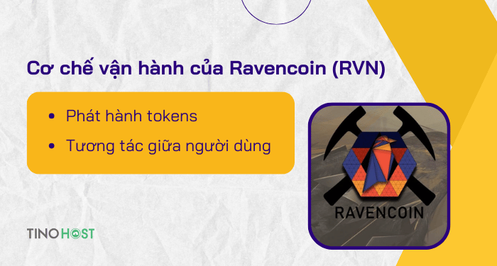 co-che-van-hanh-cua-ravencoin