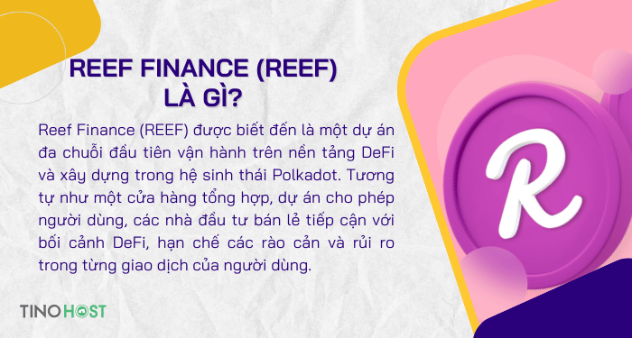 khai-niem-ve-reef-finance-reef