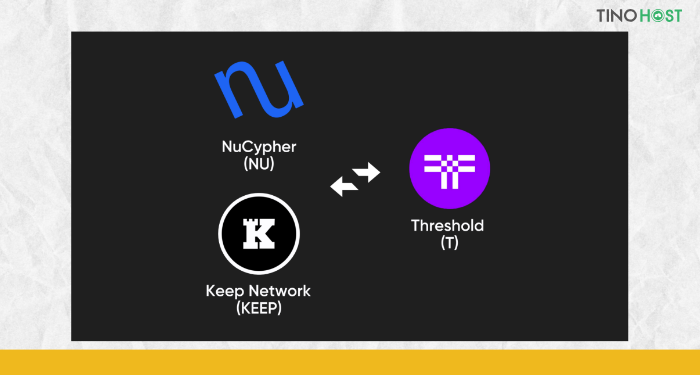 threshold-network-la-san-pham-cua-su-hop-nhat-2-giao-thuc-keep-network-va-nucypher