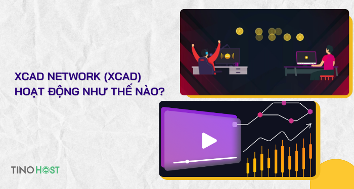 nen-tang-xcad-network-hoat-dong-nhu-the-nao