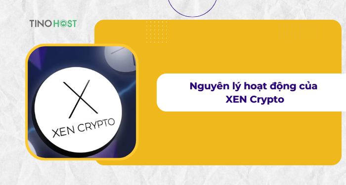 nguyen-ly-hoat-dong-cua-he-sinh-thai-xen-crypto