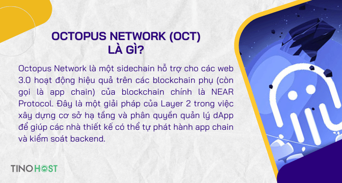 khai-niem-octopus-network-oct