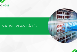 Native VLAN là gì? Sự khác biệt giữa Default VLAN và Native VLAN