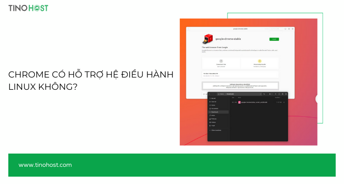 chrome-co-ho-tro-he-dieu-hanh-linux-khong