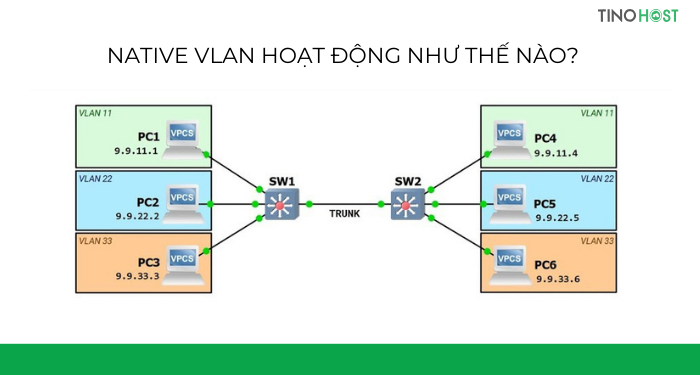 native-vlan-hoat-dong-nhu-the-nao