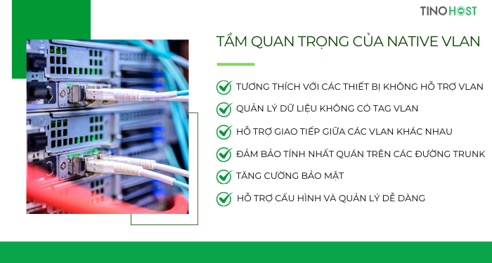 tam-quan-trong-cua-native-vlan