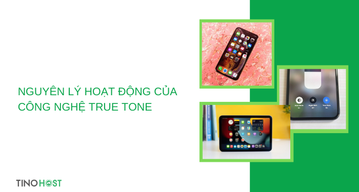 nguyen-ly-hoat-dong-cua-cong-nghe-true-tone