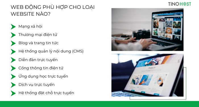 web-dong-phu-hop-cho-loai-website-nao