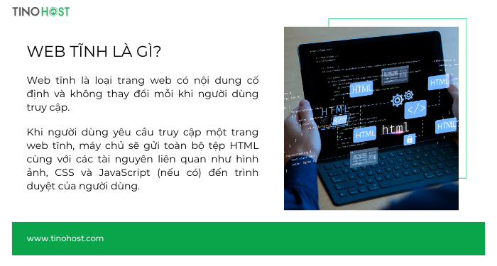 web-tinh-la-gi