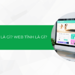 Web động là gì? Web tĩnh là gì? Sự khác biệt giữa web động và web tĩnh