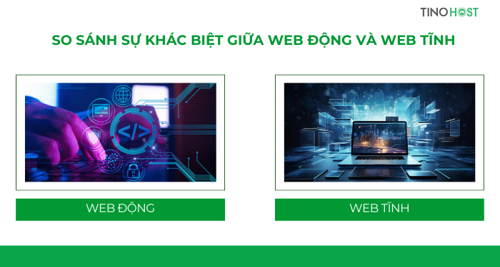 so-sanh-su-khac-biet-giua-web-dong-va-web-tinh