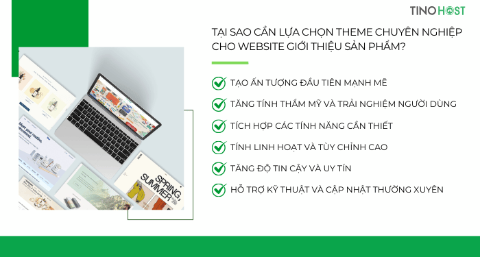 tai-sao-can-lua-chon-theme-chuyen-nghiep-cho-website-gioi-thieu-san-pham