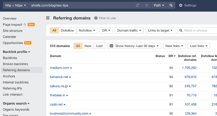 xem-referring-domain-trong-ahrefs