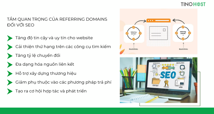 tam-quan-trong-cua-referring-domains-doi-voi-seo