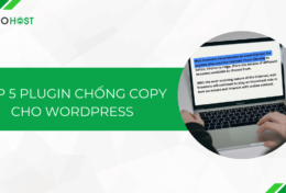 Top 5 plugin chống copy cho WordPress tốt nhất hiện nay