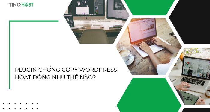 plugin-chong-copy-wordpress-hoat-dong-nhu-the-nao