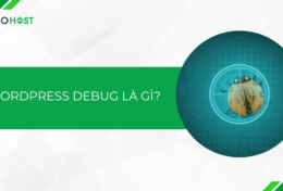 WordPress Debug là gì? Hướng dẫn cách bật/tắt WordPress Debug cho website