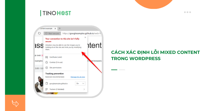 cach-xac-dinh-loi-mixed-content-trong-wordpress