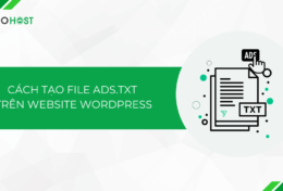 Hướng dẫn cách tạo file Ads.txt trên website WordPress