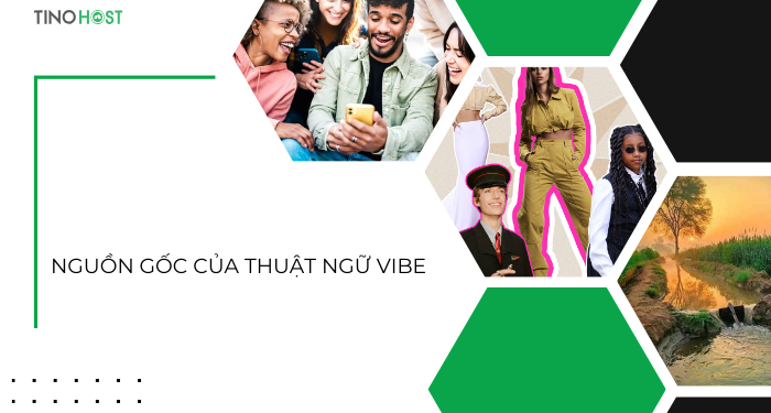 nguon-goc-cua-thuat-ngu-vibe