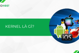 Kernel là gì? Khám phá các vai trò của Kernel trong hệ điều hành