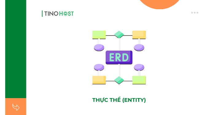 thuc-the-entity