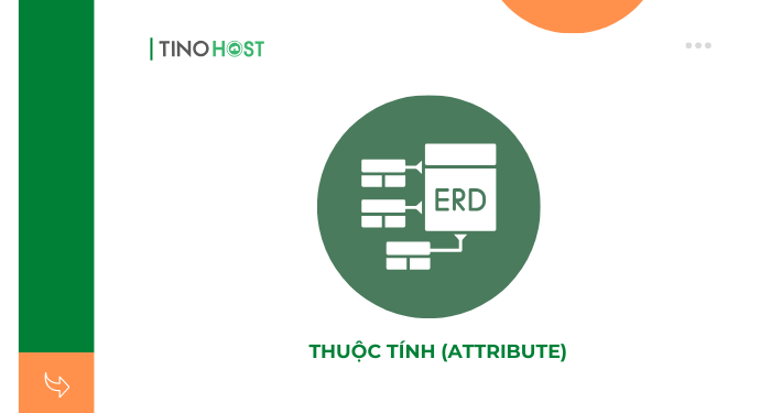 thuoc-tinh-Attribute