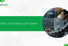 Script là gì trong lập trình? Tìm hiểu lợi ích của việc sử dụng script