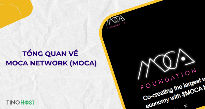 tong-quan-ve-moca-network-moca