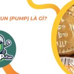 Pump.fun (PUMP) là gì? Khám phá nền tảng tối ưu để tạo và giao dịch meme coin trên Solana