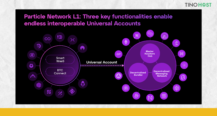 Universal-Liquidity