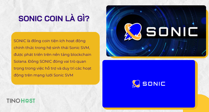 sonic-coin-la-gi