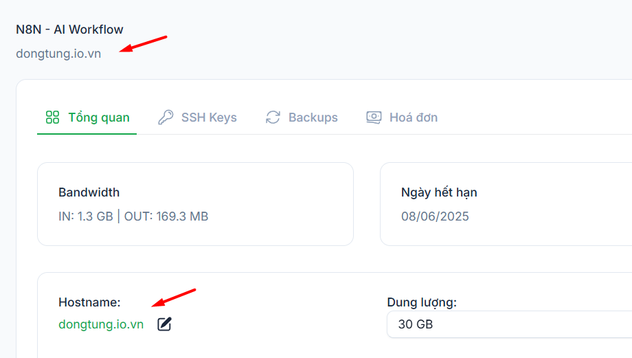 Hướng dẫn cách trỏ tên miền về IP VPS N8N và đổi Hostname thành tên miền đã mua 11 Hướng dẫn cách trỏ tên miền về IP VPS N8N và đổi Hostname thành tên miền đã mua 11