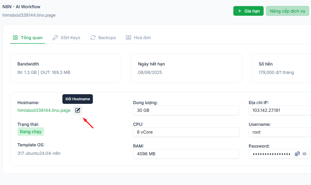 Hướng dẫn cách trỏ tên miền về IP VPS N8N và đổi Hostname thành tên miền đã mua 9 Hướng dẫn cách trỏ tên miền về IP VPS N8N và đổi Hostname thành tên miền đã mua 9